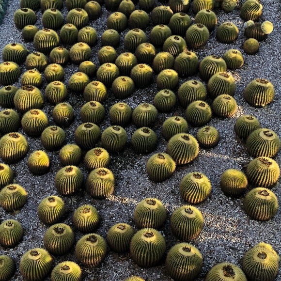 Meet your Posher, Caitlin - Picture 1 of 1